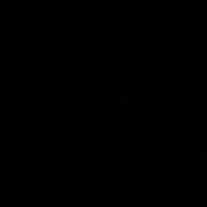 Meet your Posher, Joey